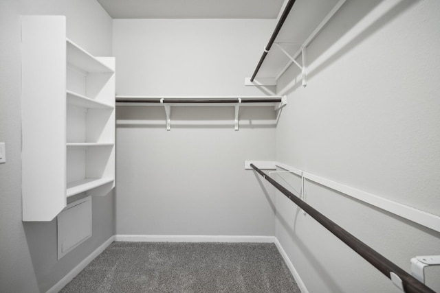 spacious closet with carpet