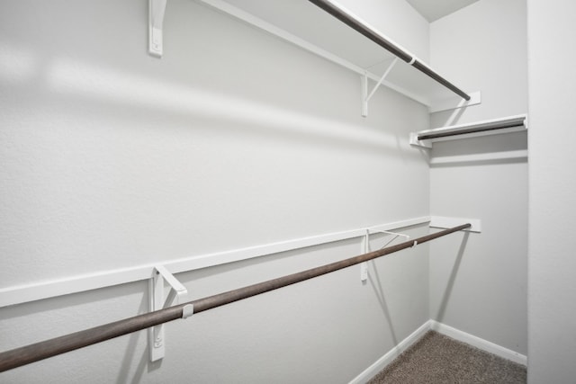 walk in closet featuring carpet flooring