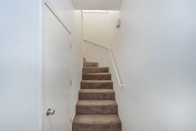 stairs featuring carpet flooring