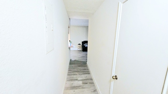 hall featuring electric panel, light carpet, and a textured ceiling