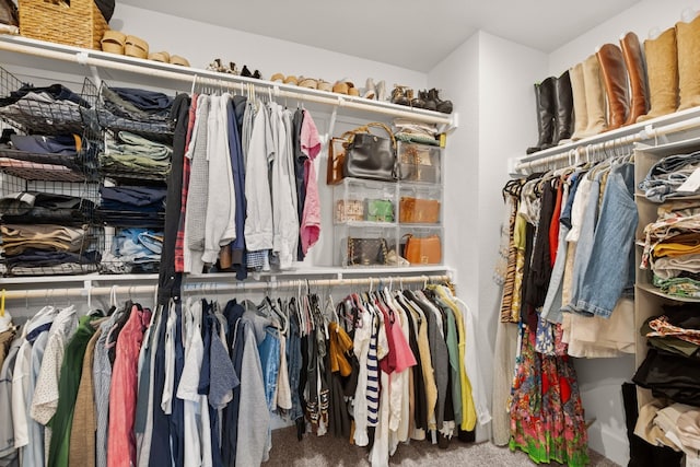 walk in closet featuring carpet floors