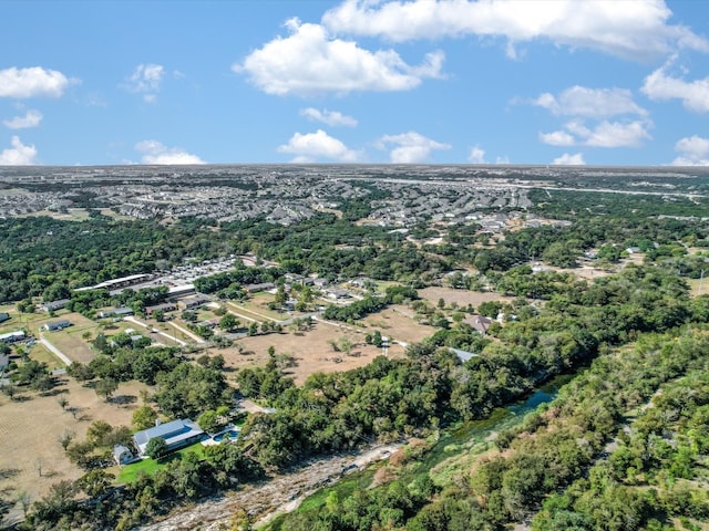 drone / aerial view