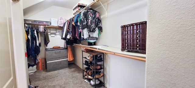 walk in closet with carpet floors