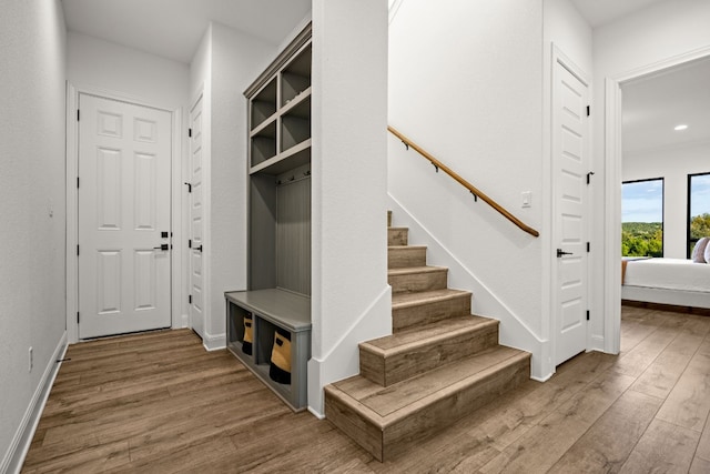 mudroom with hardwood / wood-style flooring