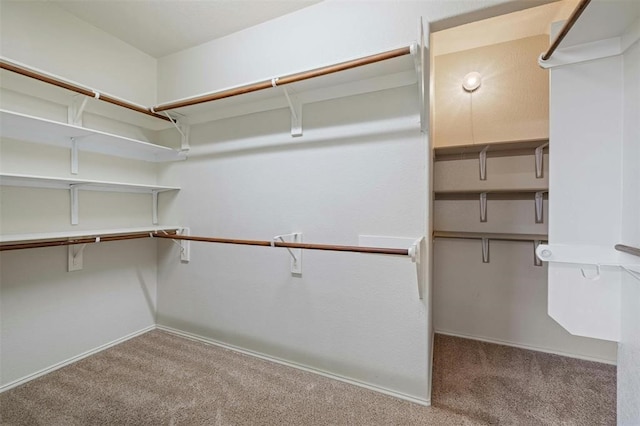 spacious closet with carpet