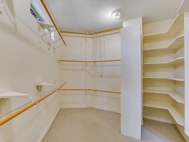 spacious closet featuring light carpet