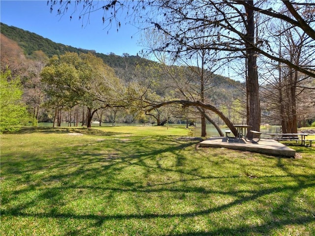 view of yard featuring a patio and a mountain view