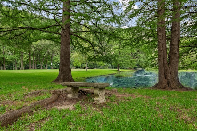 view of yard featuring a water view