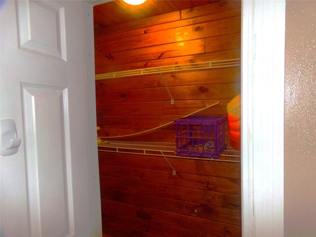 view of closet