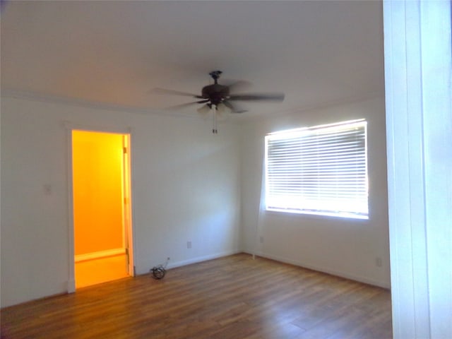 spare room with ceiling fan and wood-type flooring