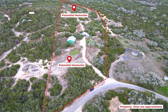 1401 Pursley Rd, Dripping Springs, TX 78620 - birds eye view of property