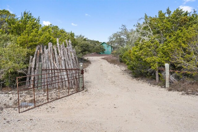 1401 Pursley Rd, Dripping Springs, TX 78620 - view of home's community