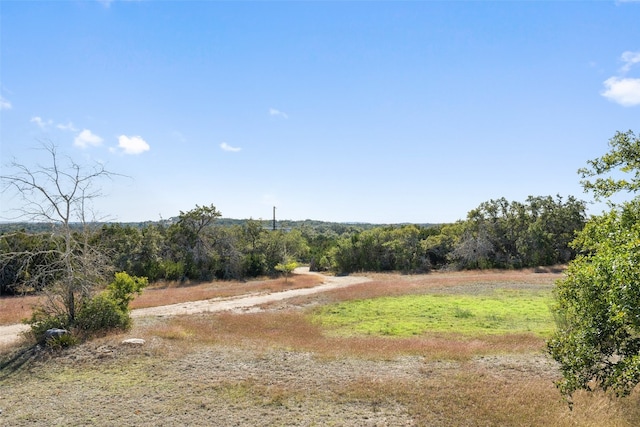 view of yard featuring a rural view