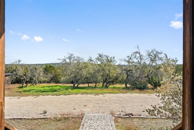 view of yard with a rural view