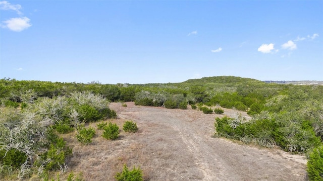 1401 Pursley Rd, Dripping Springs, TX 78620 - view of landscape