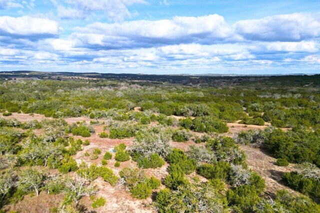 1401 Pursley Rd, Dripping Springs, TX 78620 - bird's eye view