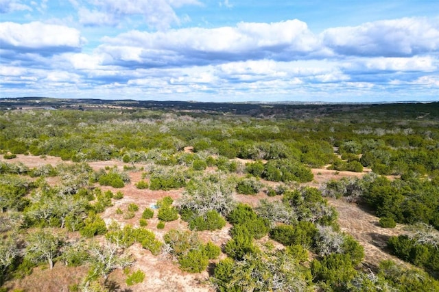 1401 Pursley Rd, Dripping Springs, TX 78620 - photo 13