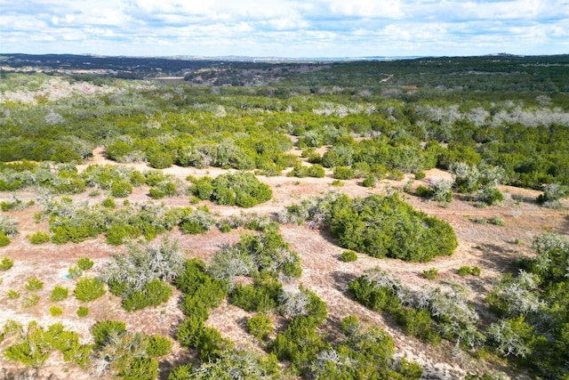 1401 Pursley Rd, Dripping Springs, TX 78620 - drone / aerial view