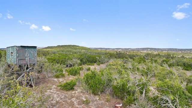 view of local wilderness