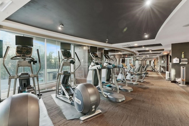 workout area with carpet, a wall of windows, and a tray ceiling