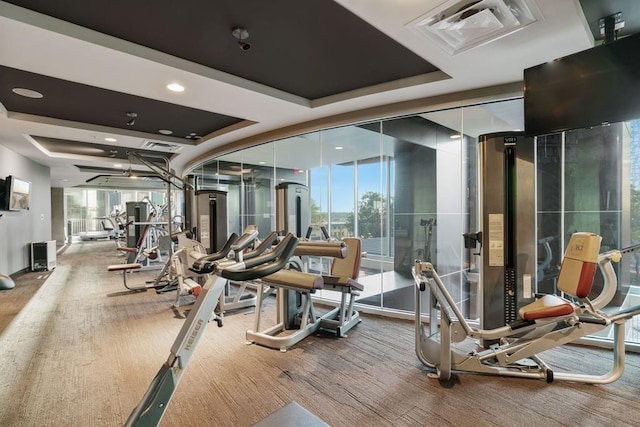 workout area featuring a tray ceiling, wood-type flooring, and expansive windows