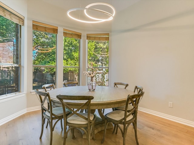 dining room with light hardwood / wood-style flooring