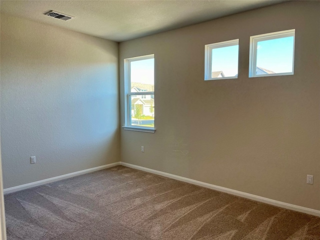 unfurnished room featuring carpet flooring and a healthy amount of sunlight