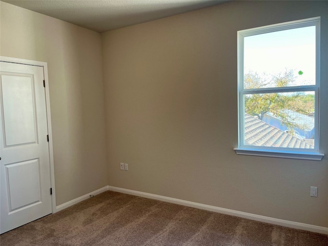 carpeted spare room featuring a healthy amount of sunlight