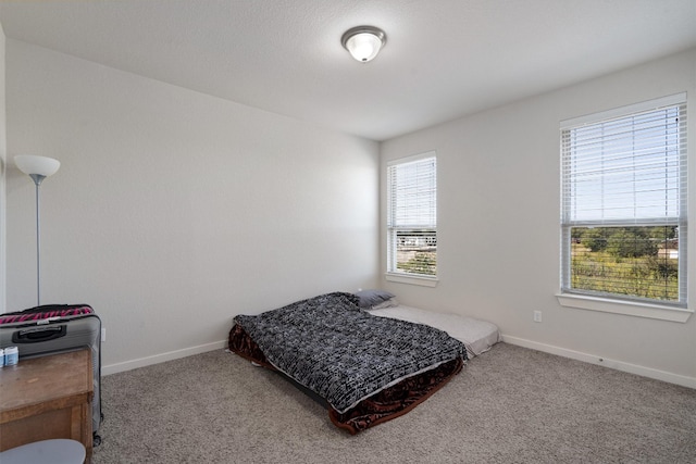 bedroom with multiple windows and carpet flooring