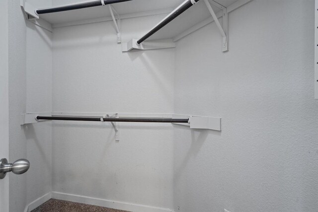 16304 Travesia Way, Austin, TX 78728 - walk in closet with carpet