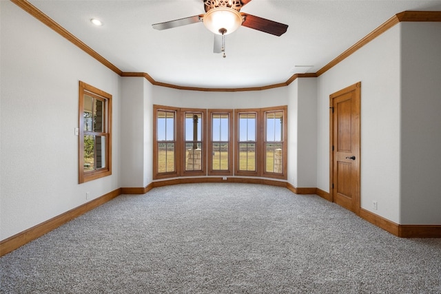 empty room featuring ceiling fan, carpet, and ornamental molding