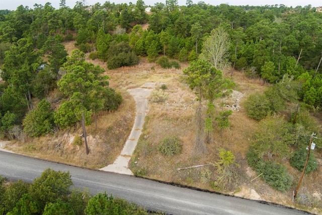 170 Makaha Dr, Bastrop TX, 78602 land for sale