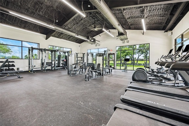 1325 Kneehigh Dr, Georgetown, TX 78633 - exercise room featuring a towering ceiling and healthy amount of natural light