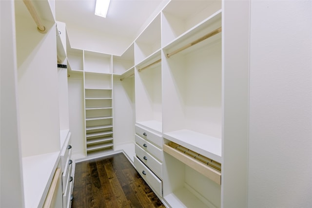 walk in closet featuring dark hardwood / wood-style flooring