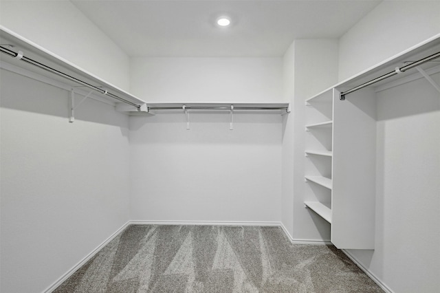 spacious closet with carpet