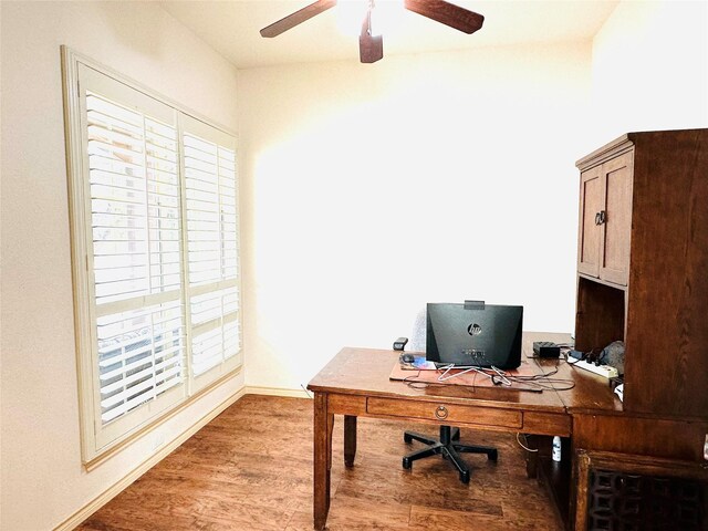 office featuring light hardwood / wood-style floors, plenty of natural light, and ceiling fan