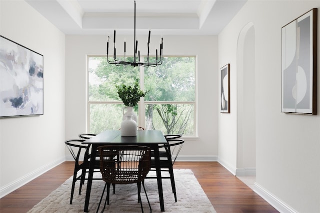 dining space featuring wood-type flooring, a tray ceiling, and plenty of natural light