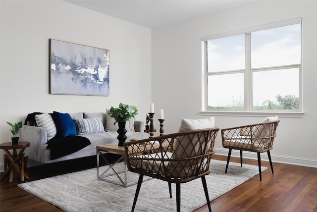 living room with wood-type flooring and a healthy amount of sunlight