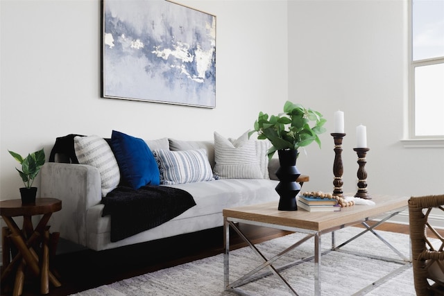 living room with hardwood / wood-style flooring