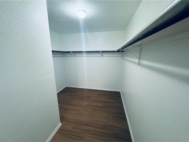 spacious closet featuring dark wood-type flooring