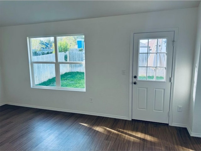 foyer entrance with dark hardwood / wood-style floors and a healthy amount of sunlight