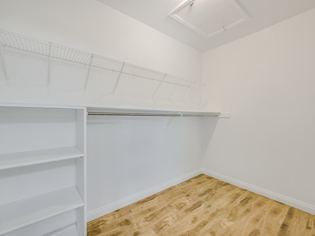 walk in closet with wood-type flooring