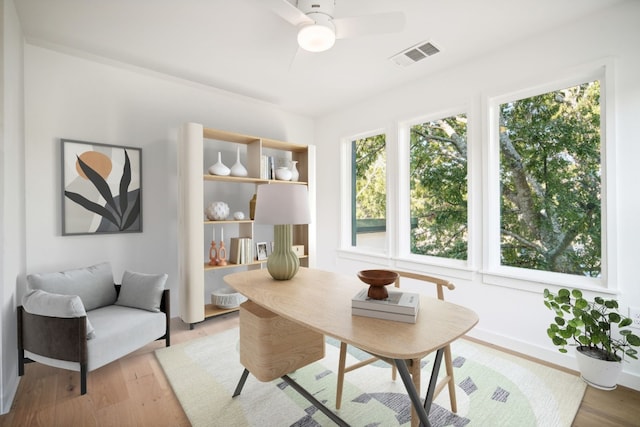 office area featuring light hardwood / wood-style flooring and ceiling fan