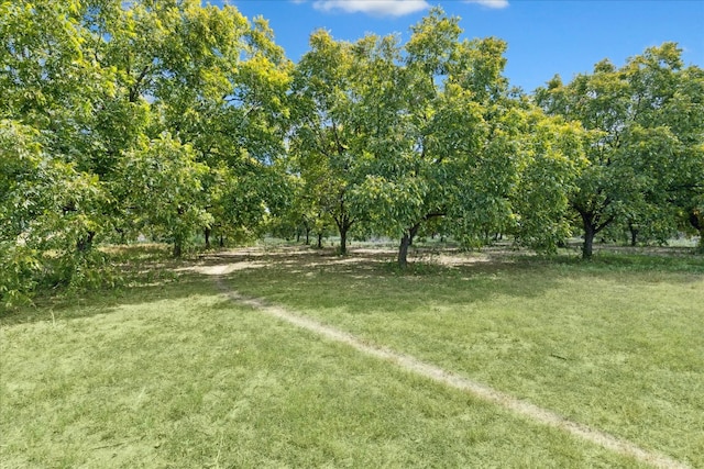 view of yard with a rural view