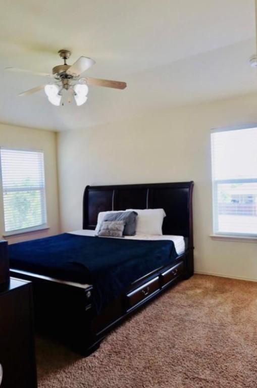 248 Coal Dr, Jarrell, TX 76537 - carpeted bedroom featuring a ceiling fan and multiple windows