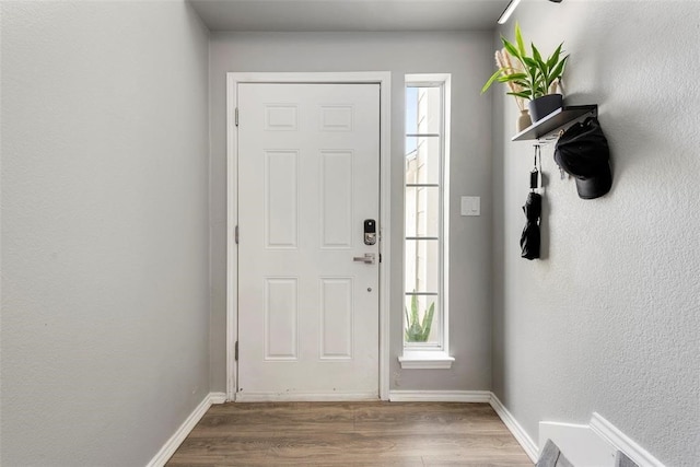 foyer entrance featuring a wealth of natural light and dark hardwood / wood-style floors