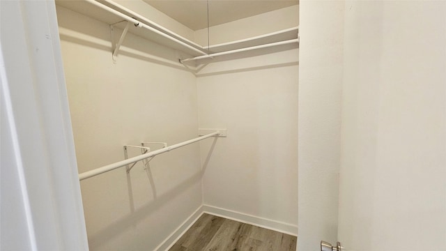 walk in closet featuring wood-type flooring