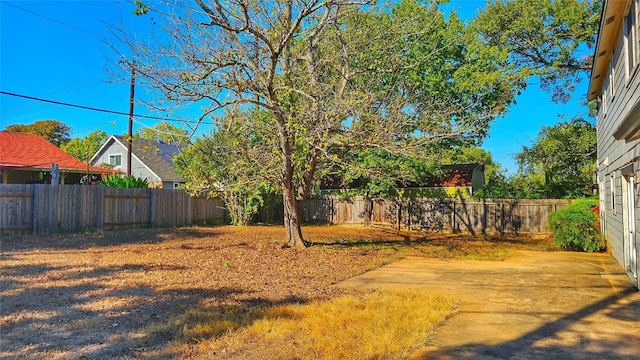 view of yard featuring a patio area