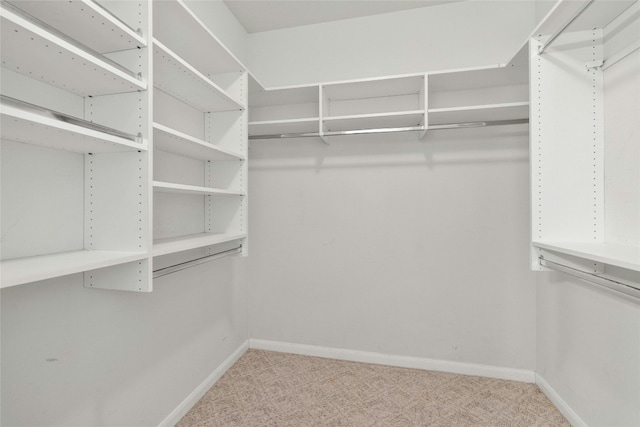 walk in closet featuring light carpet