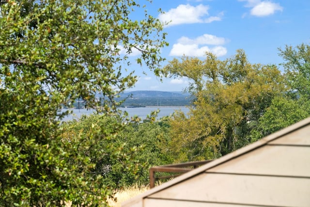 view of water feature featuring a mountain view